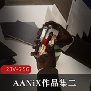 AANiX作品集二23V-6.5G