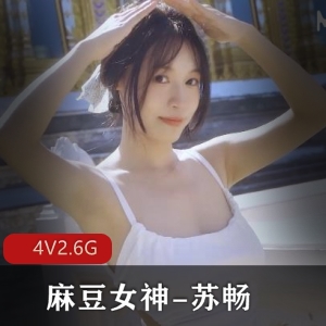 麻豆女神苏畅最新视频合集-1-4合集-4V2.6G-下载观看
